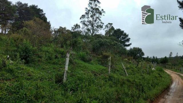 Chácara no curralinho em são josé dos pinhais. - Foto 11