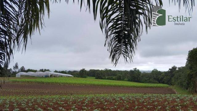 Terreno na colônia murici em são josé dos pinhais. - Foto 4