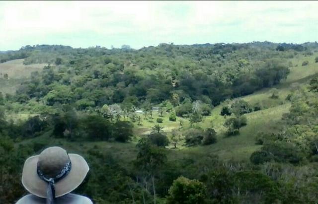 Fazenda Rov Ilhéus-Buararema - Foto 2