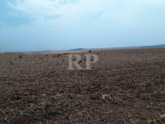 Fazenda 2006 Hectares em Tocantis - Foto 2