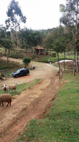 Chácara na colônia murici (são josé dos pinhais) - distrito. - Foto 3