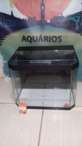 Aquário, móveis, sob medida, plantas, rações, luminárias - Foto 5