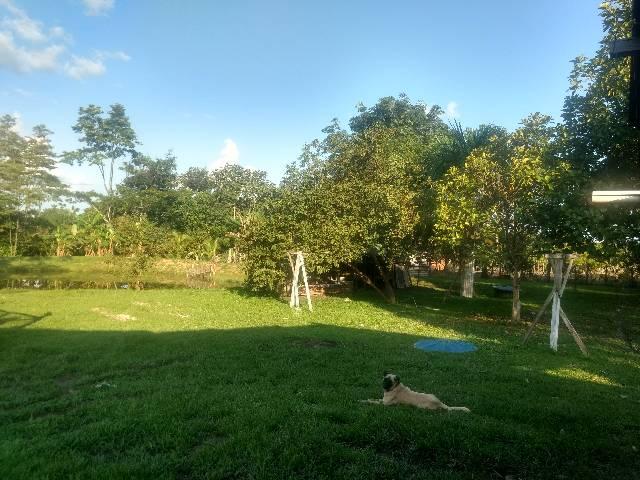 Troco ou vendo chácara - Foto 14