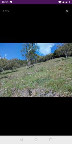 Vendo terreno a 7 kilomentro do centro de Santa Leopoldina fica e em Bragança - Foto 5