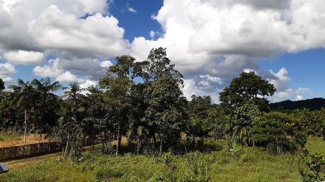 Lugar para acampar, traga sua barraca e venha para um lugar calmo e tranquilo