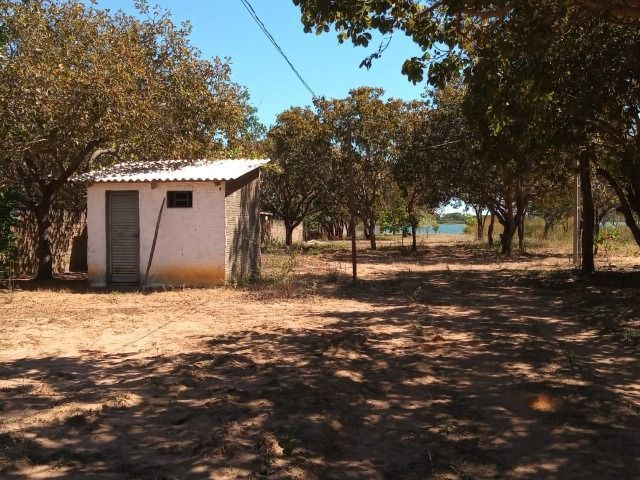 Chácara na Beira do Lago! 14 km de Palmas! Praia de Águas Cristalinas! - Foto 13