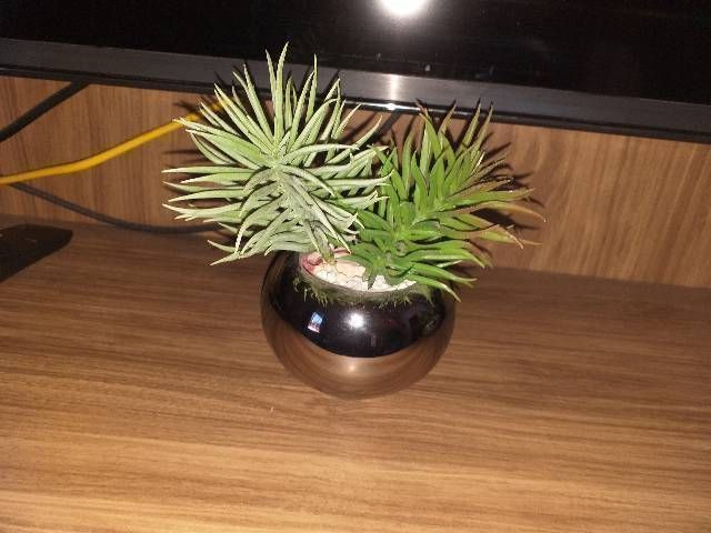 Mini arranjo - Foto 4