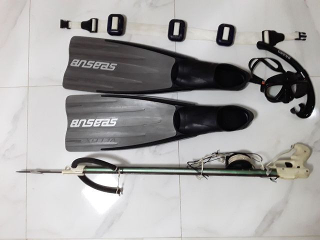 Pesca sub