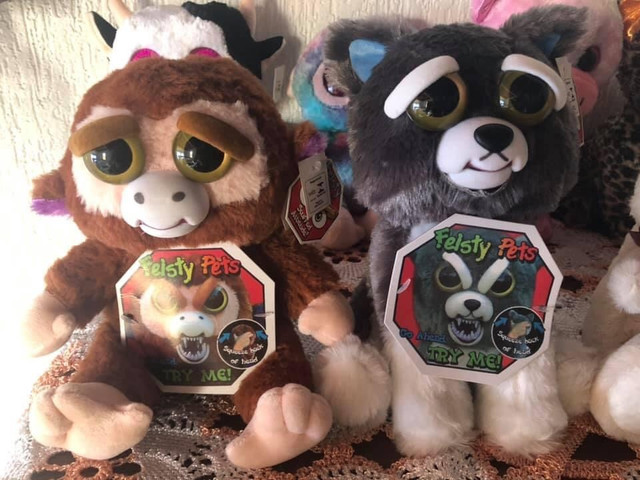 feisty pets olx