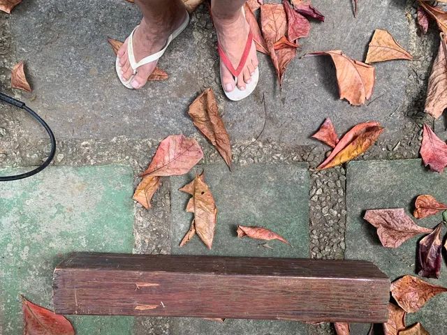 Madeira nobre 12x12x0,85