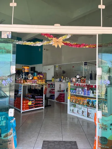 Onde Fazer Banho e Tosa Pet Shop Cidade Vargas - Pet Shop Perto de