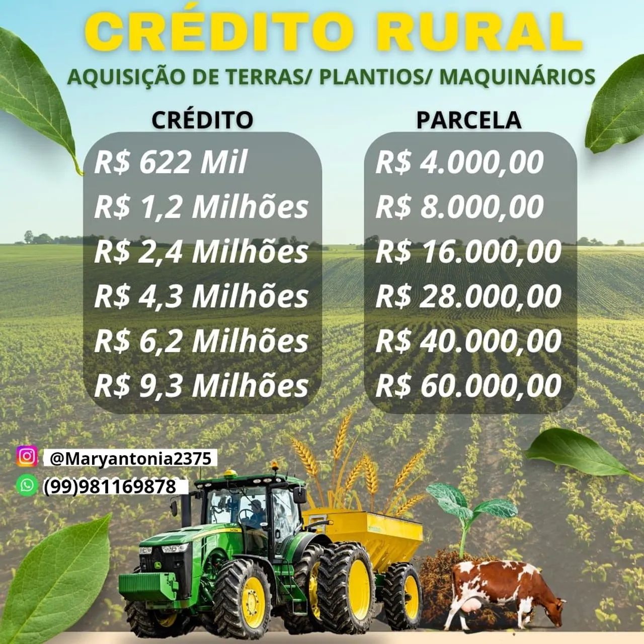 Crédito Rural para Aquisição de Terras, Plantios e Maquinários