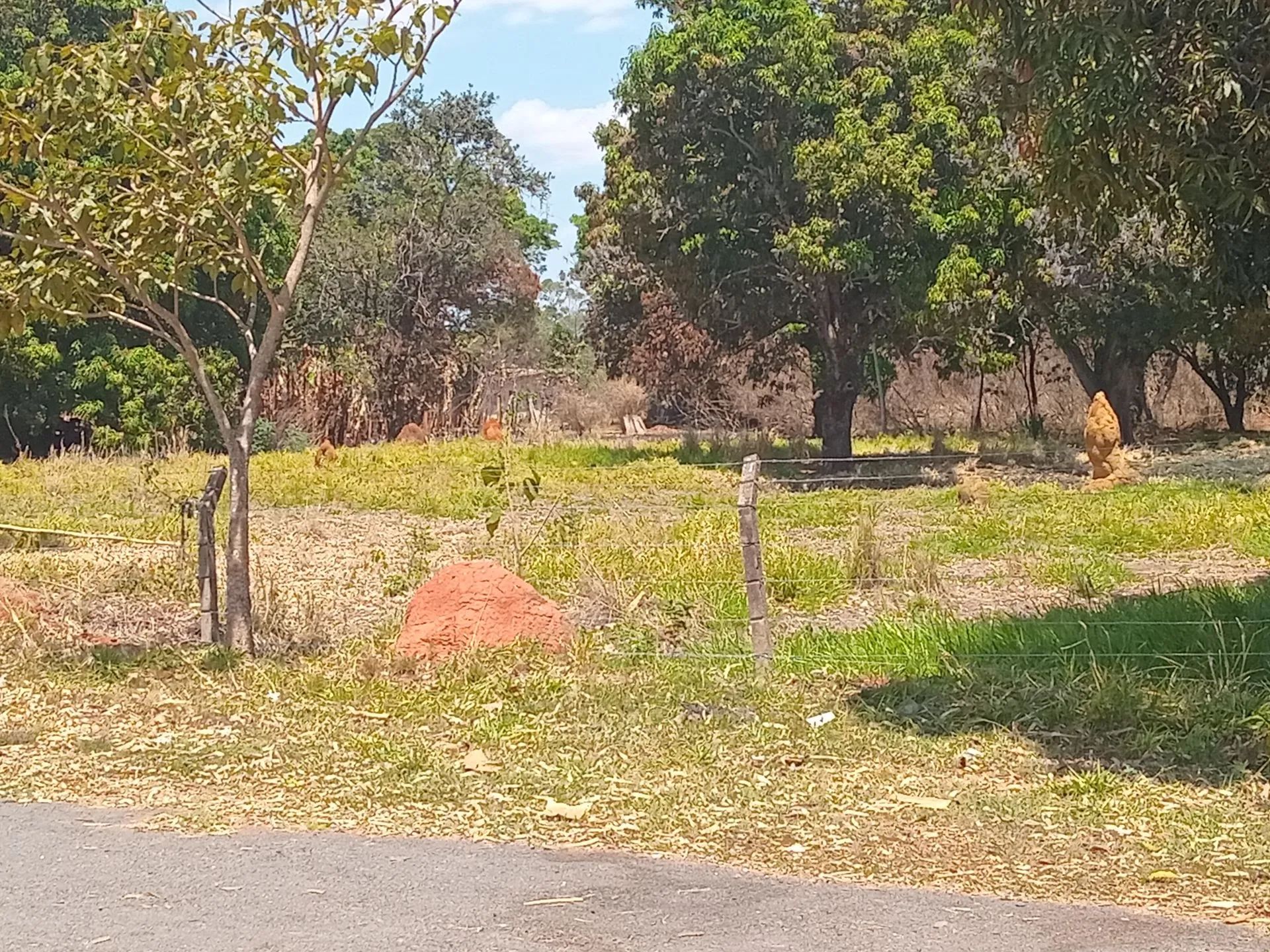 foto - Brasília - Park Way