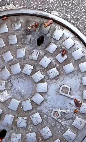 Pulverização de tudo - Foto 2