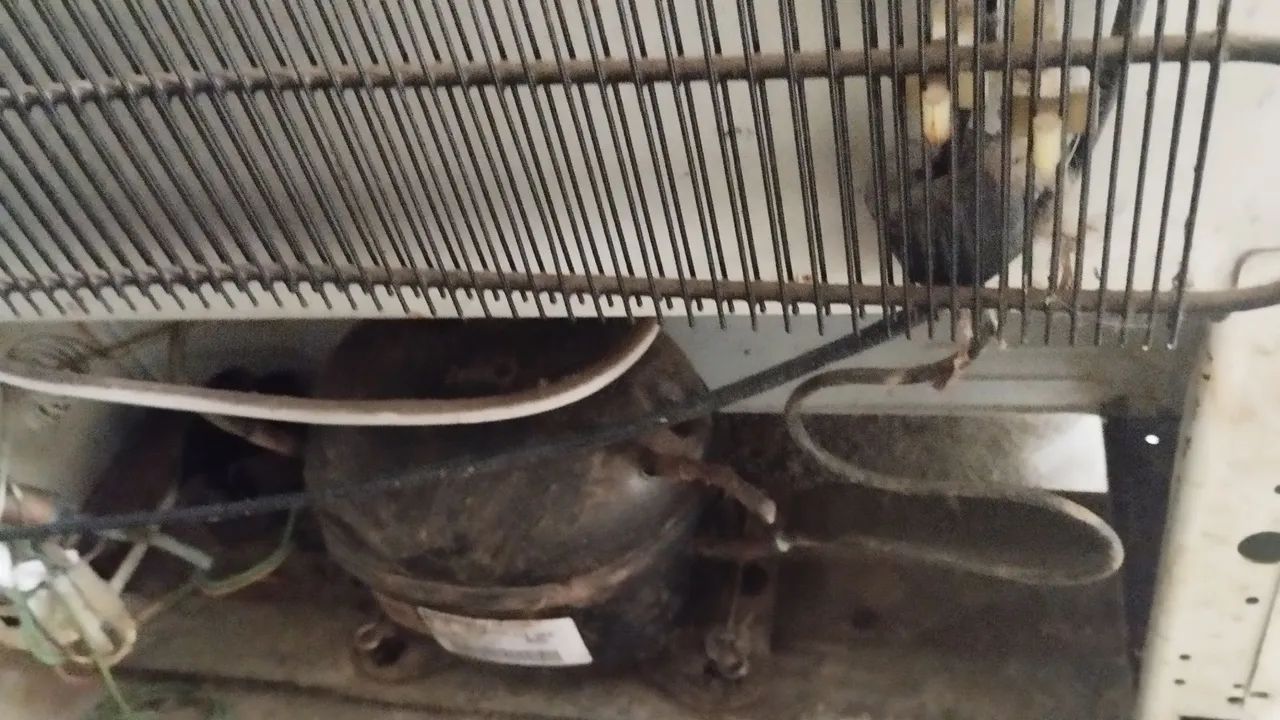 Geladeira com defeito - Foto 4