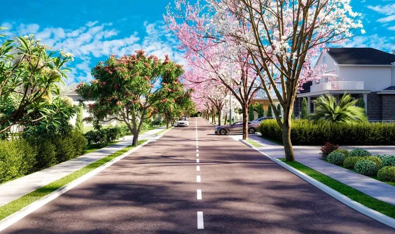 Ágio de Lote em condomínio fechado Vinhas Flamboyant - Foto 3