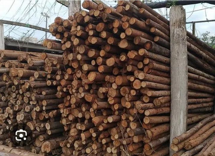 PONTALETES DE EUCALIPTO PARA ESCORA E TÁBUAS E SARRAFOS ( PROMOÇÃO )