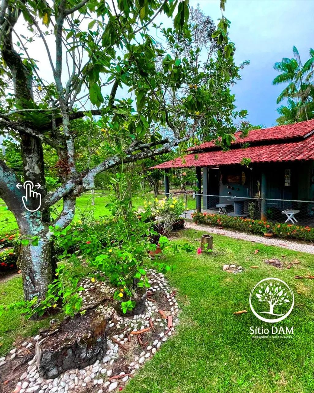 Vendo Excelente Sítio em Benevides