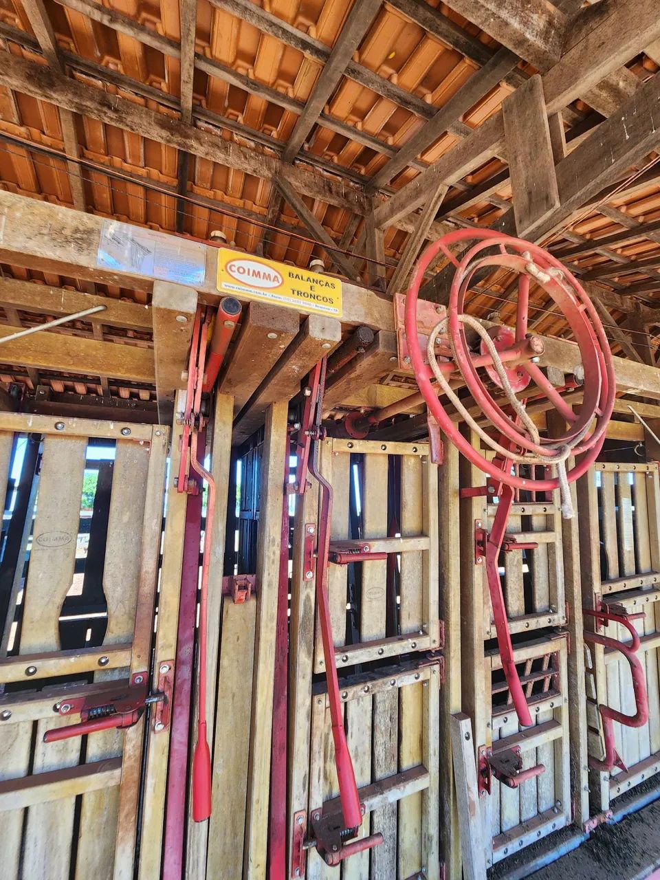 Tronco Coimma com balança - Foto 3