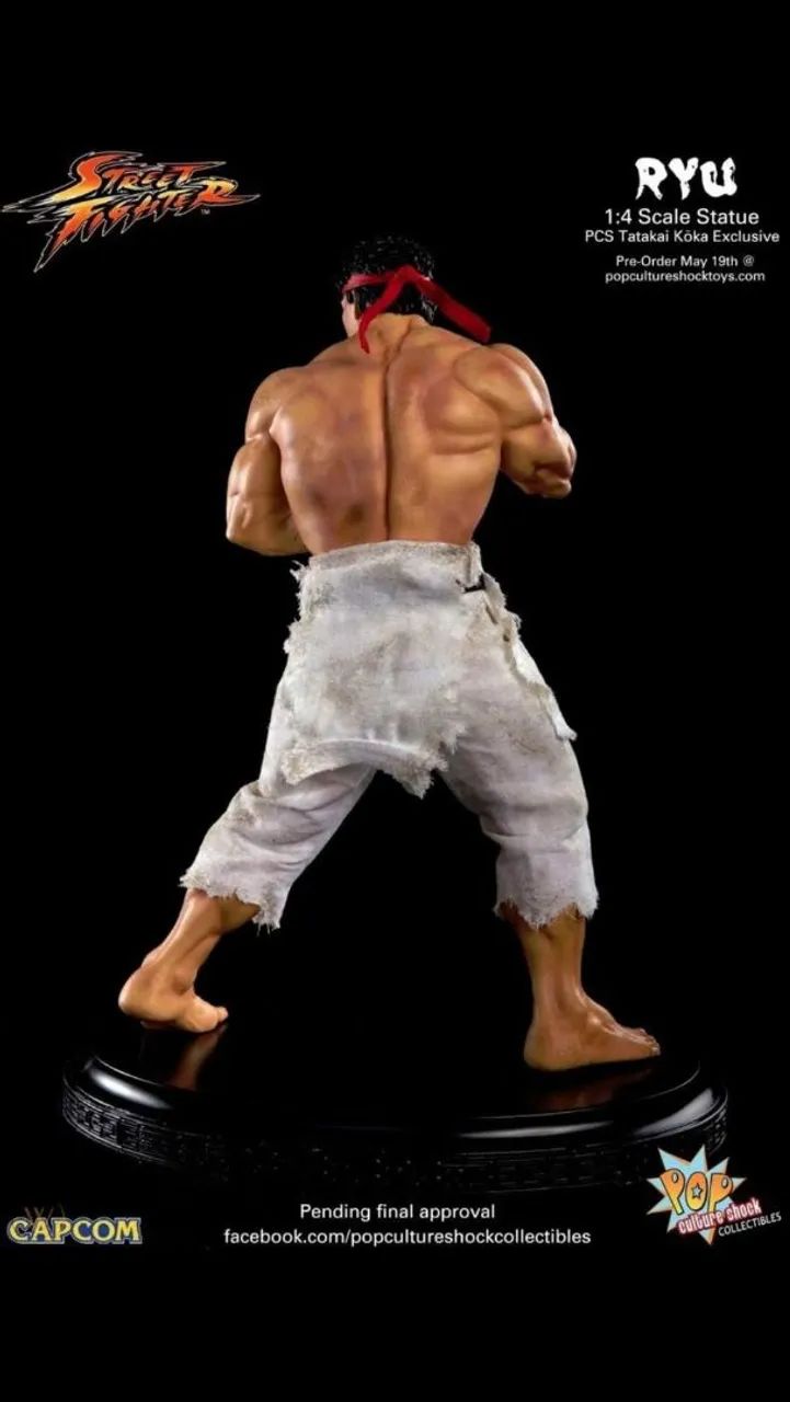 Ryu Battle Damaged PCS Street Fighter - Foto 4