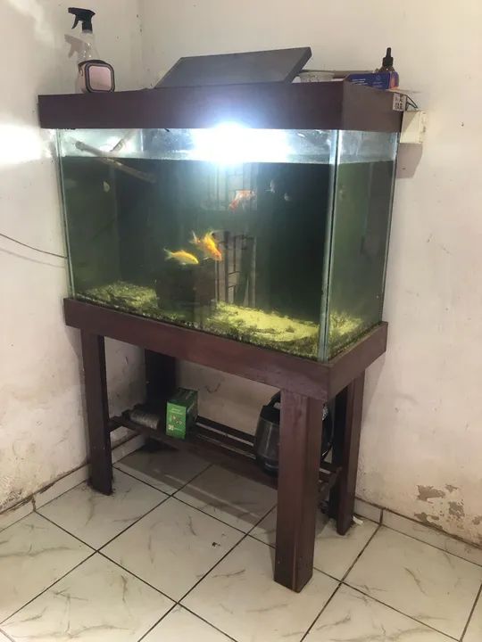 Aquário com estrutura de madeira - Foto 3