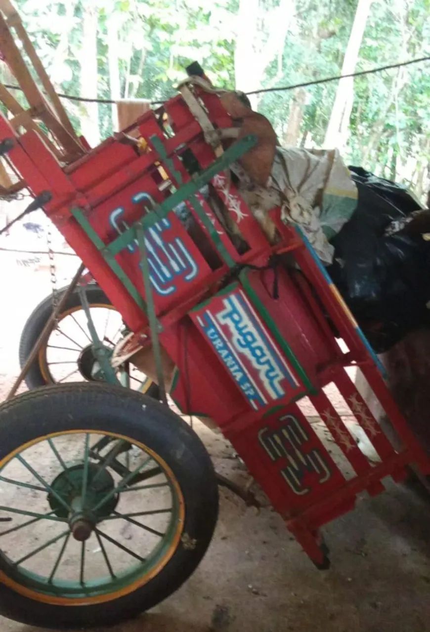 Carroça de Madeira seminova - Foto 2