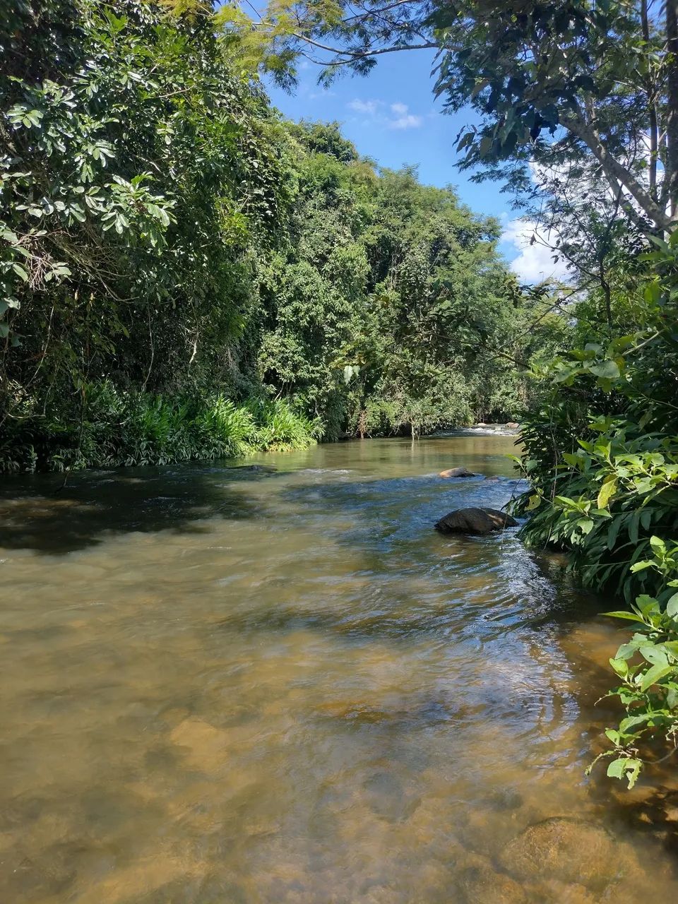 Terreno rural beira rio - Foto 2