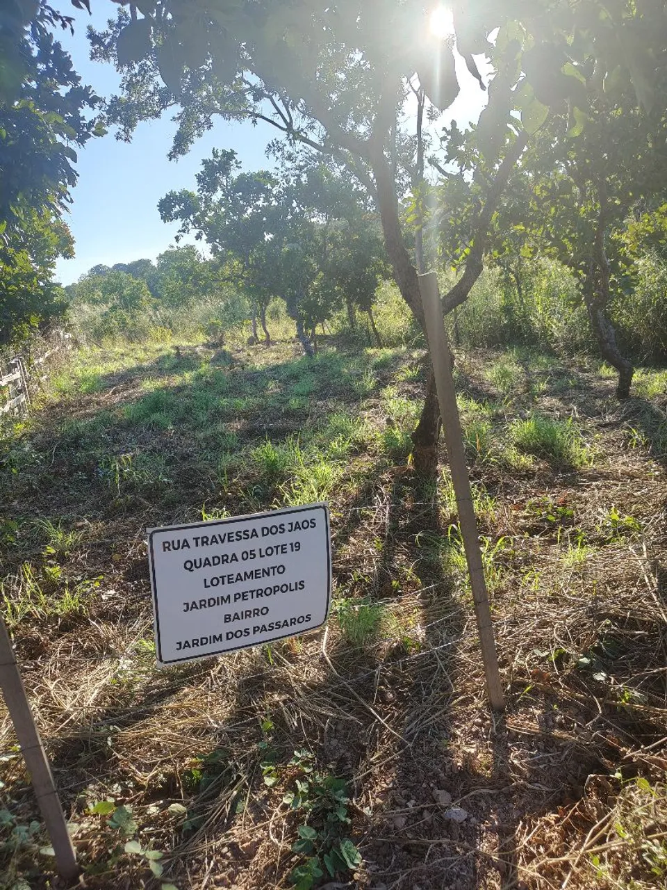 Vendo terreno atrás do florais da mata