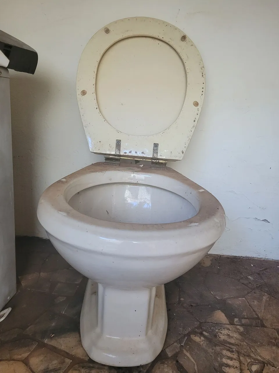 Vaso Sanitário Usado