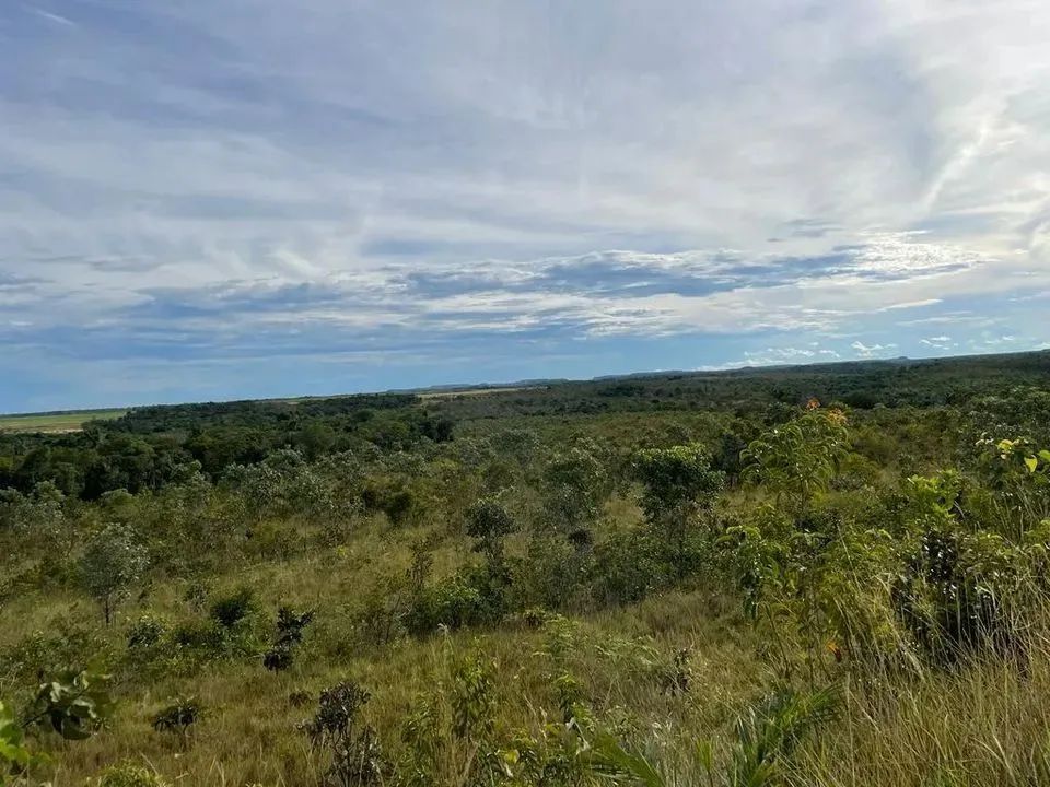 Fazenda para Venda em Santa Maria do Tocantins, Santa Maria do Tocantins - Foto 5