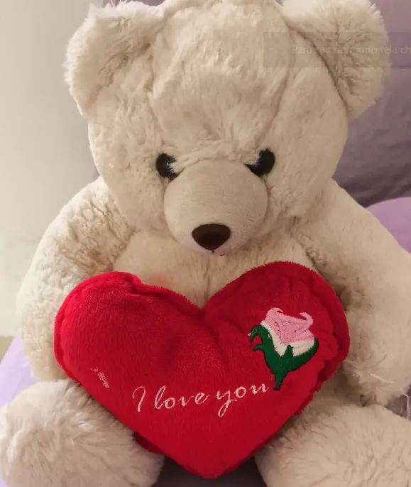 Urso de pelucia antialergico