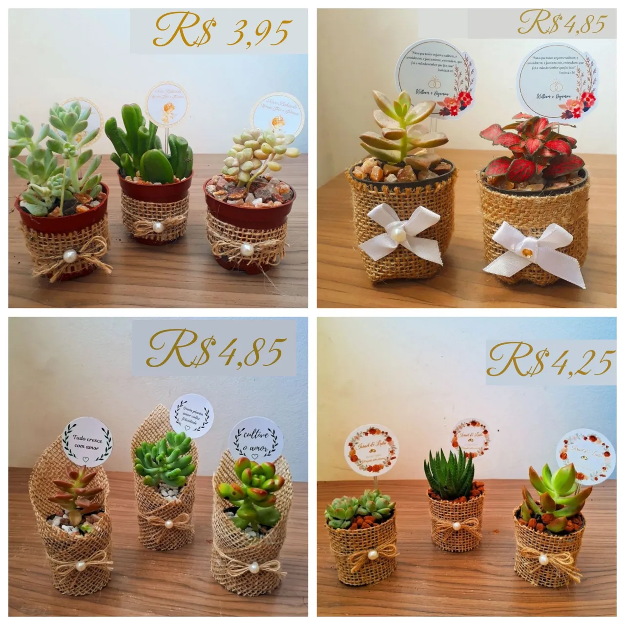 Lembrancinhas personalizadas cactos e suculentas