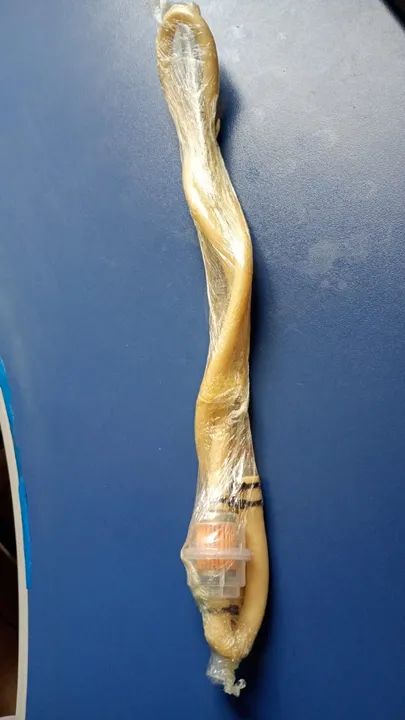 Capturador Entomológico para insetos 