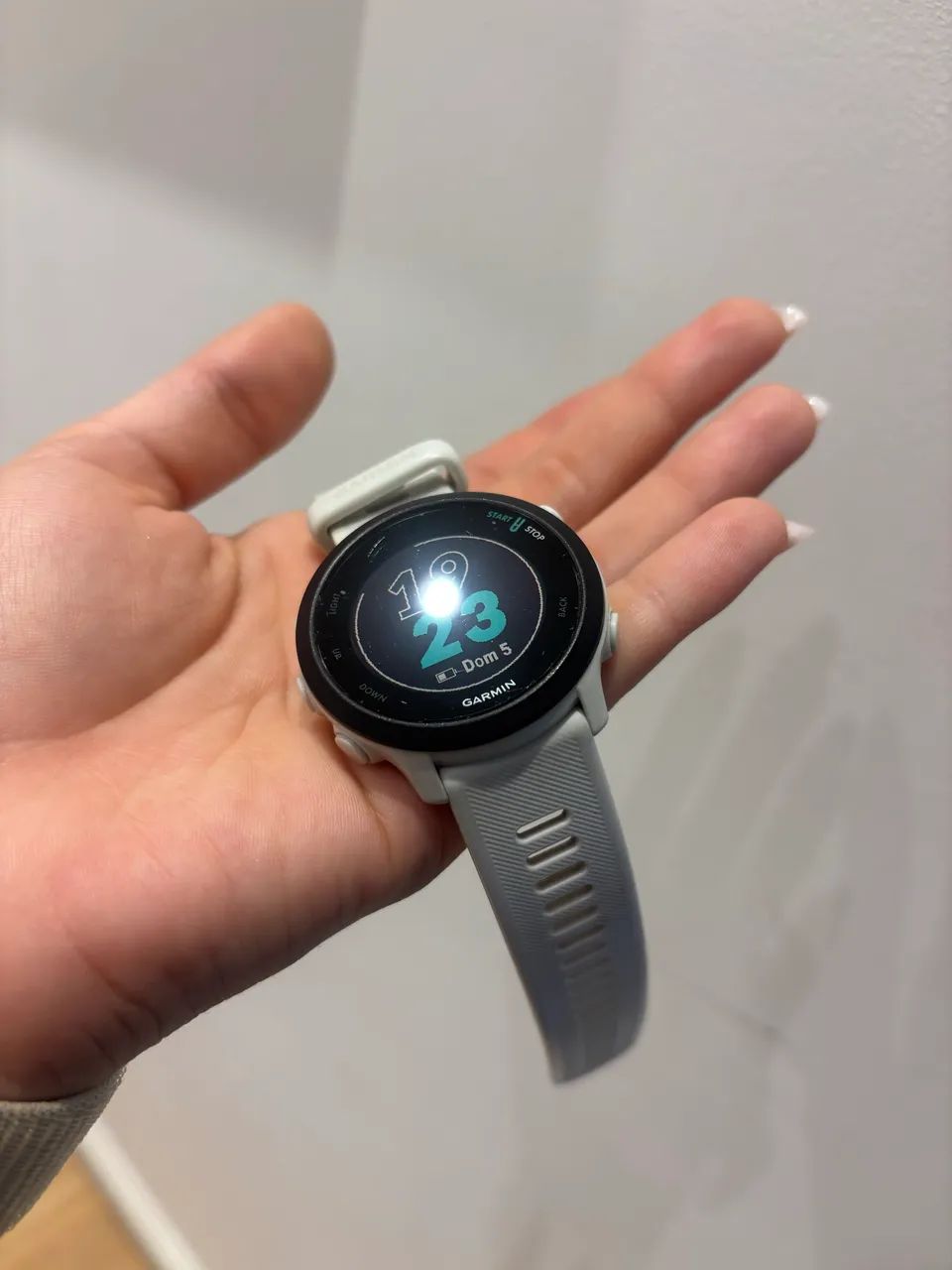 Garmin for runner 55