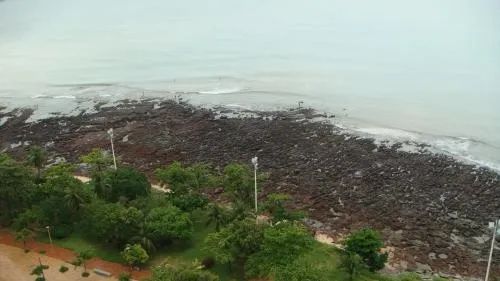 Edifício Jardim do Atlântico - Foto 5