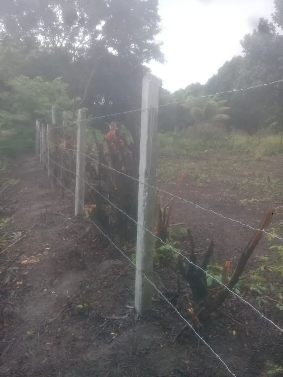 Terreno em Itamaracá - Bela Vista - Foto 3