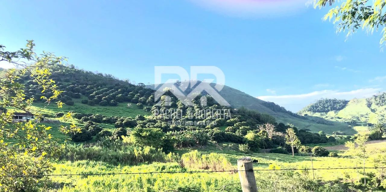 Fazenda totalmente produtiva com 48 hectares - Foto 3