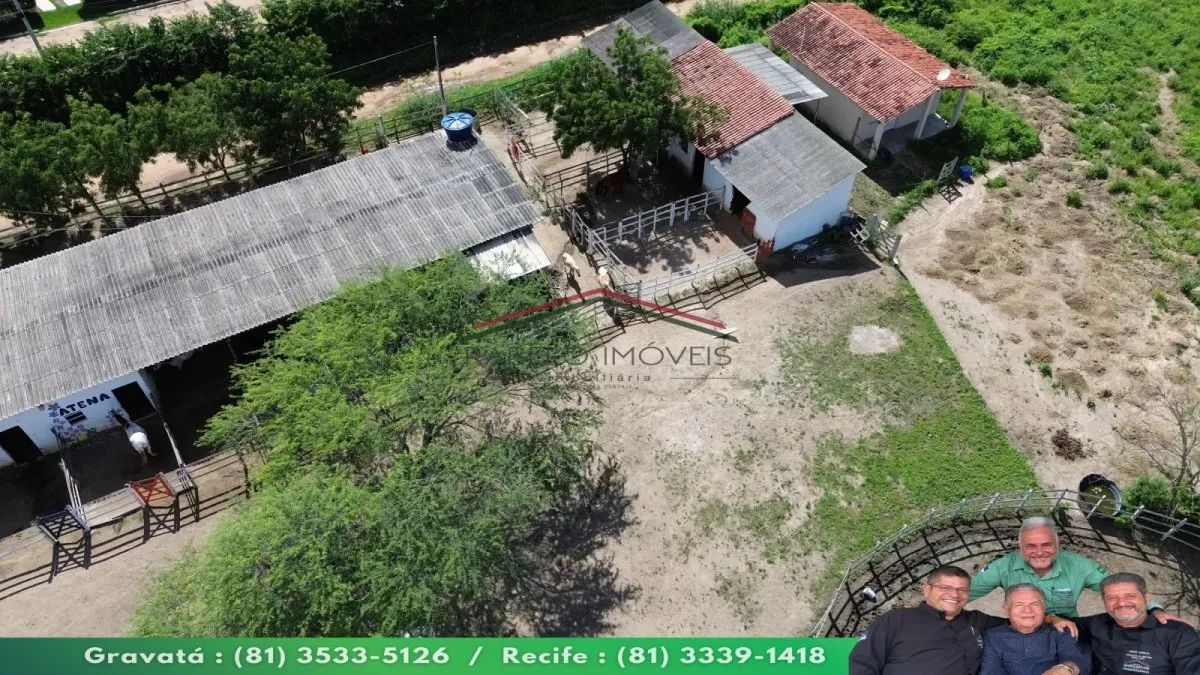 EXCELENTE HARAS COM 4.28HA AS MARGENS DA BR 232 EM GRAVATÁ - Foto 3