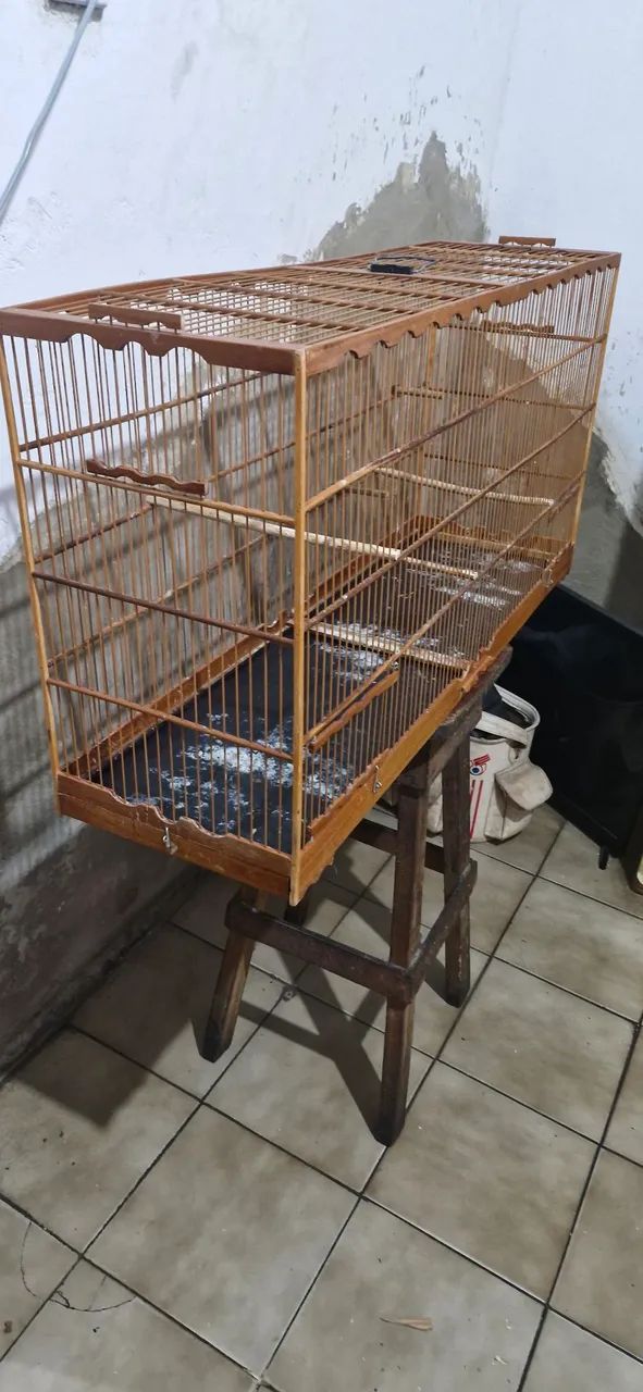 Gaiola Voador para pássaros pequeno - Foto 3