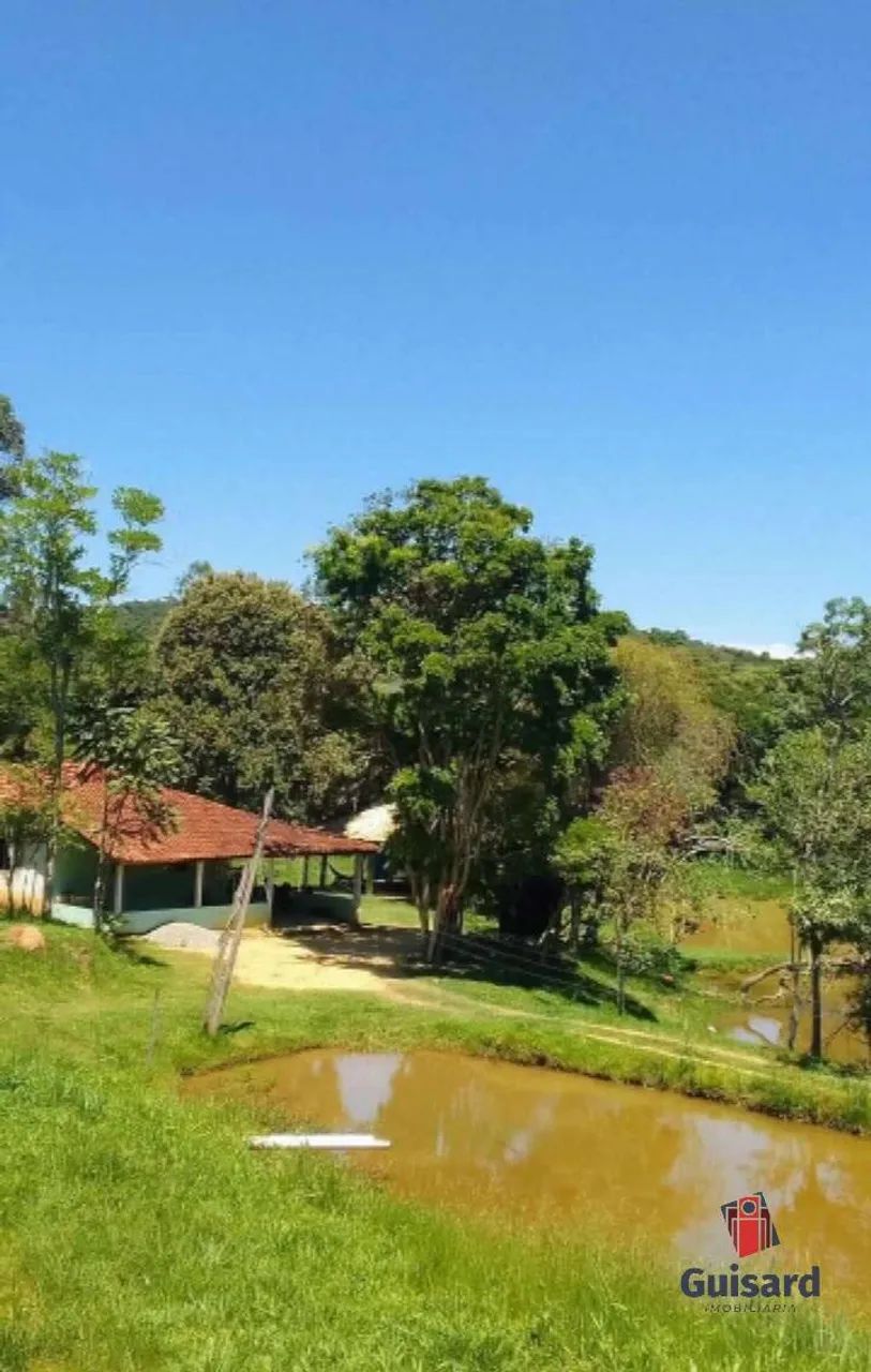 Sitio Em Lagoinha com 2 Alqueires - Foto 5