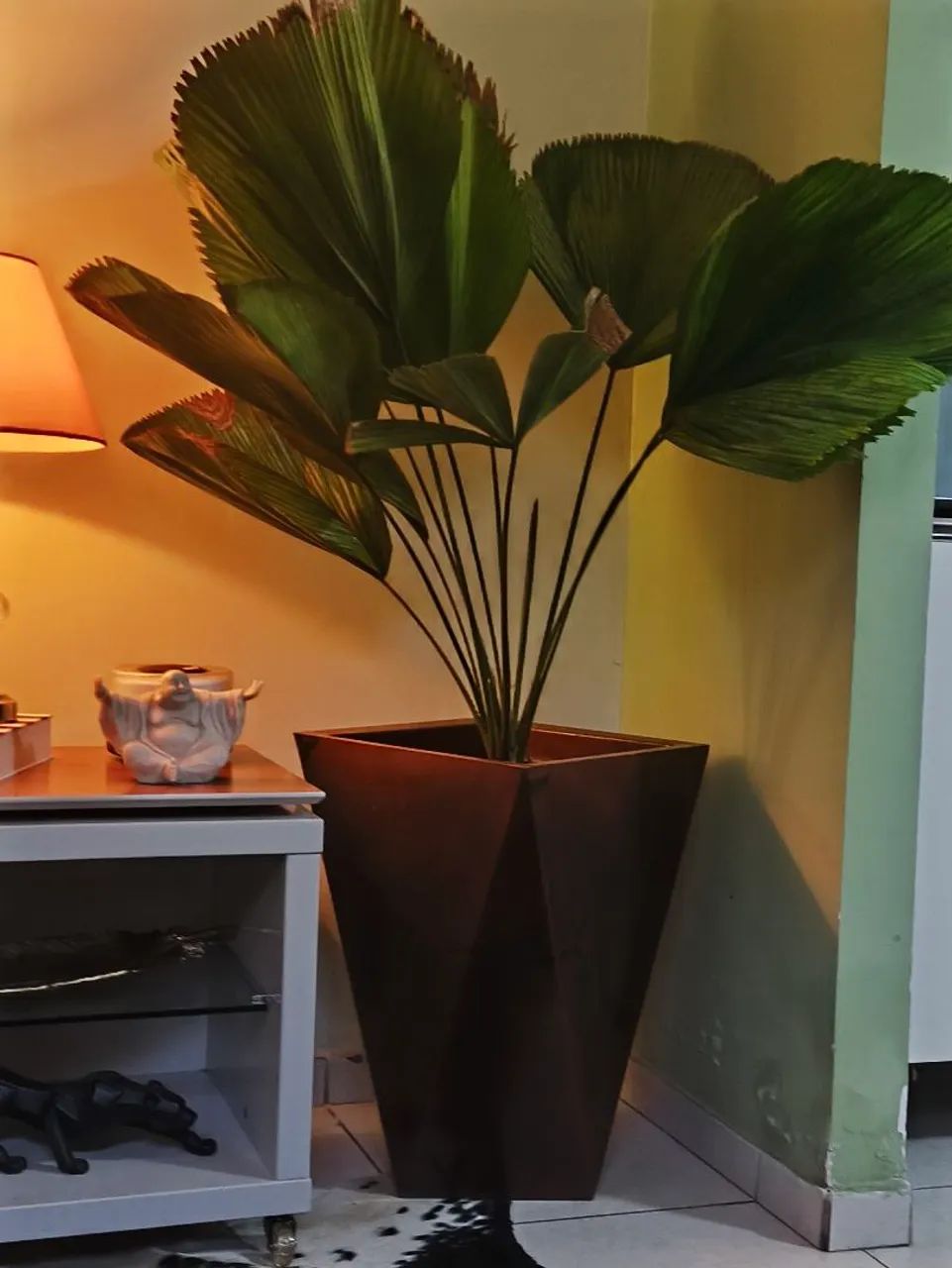Coqueiros lindo de verdade  - Foto 4