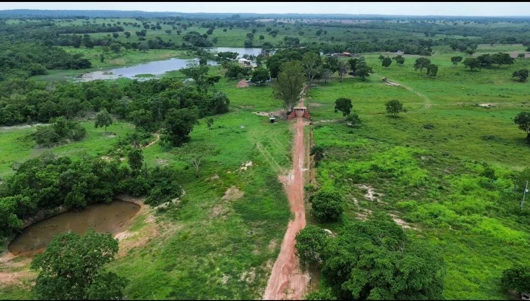 Fazenda a Venda de 646 Hectares próxima a Cuiaba MT - Foto 2