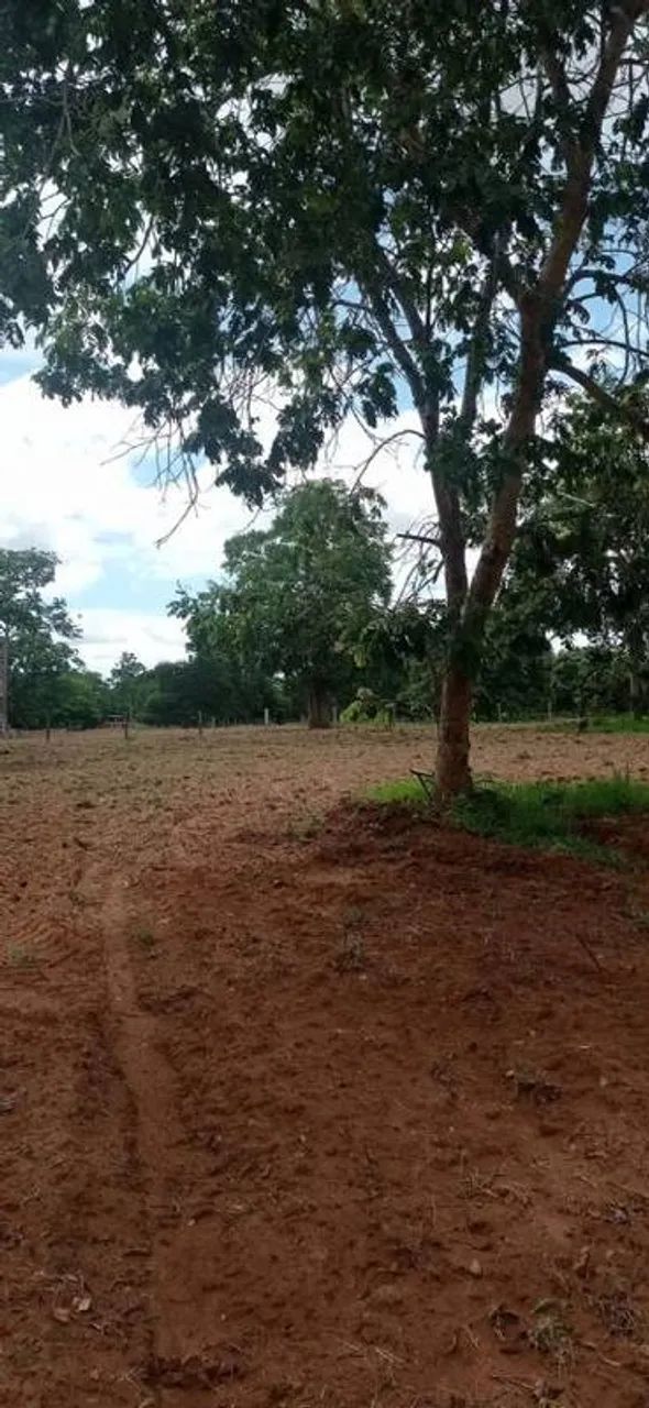 Vende-se 2,4 alqueires - Britânia - Go - Foto 2