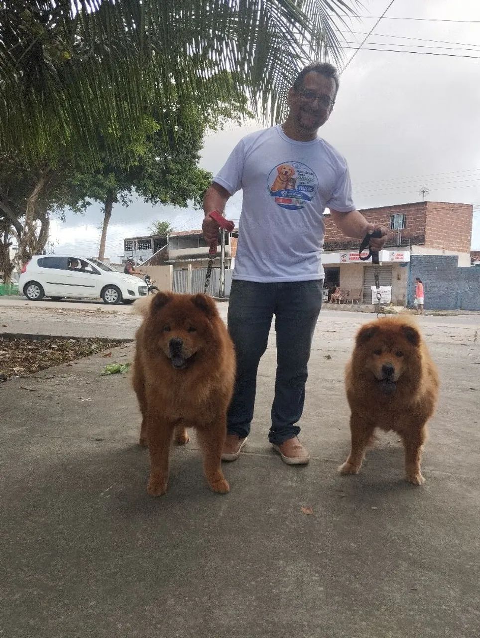 Passei com cães - Foto 2
