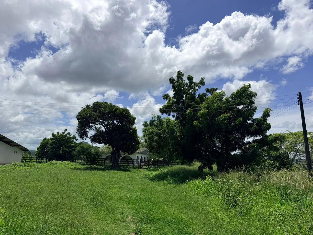  ÁREA 23HA NA BR232 VITÓRIA S.ANTAO. - Foto 4