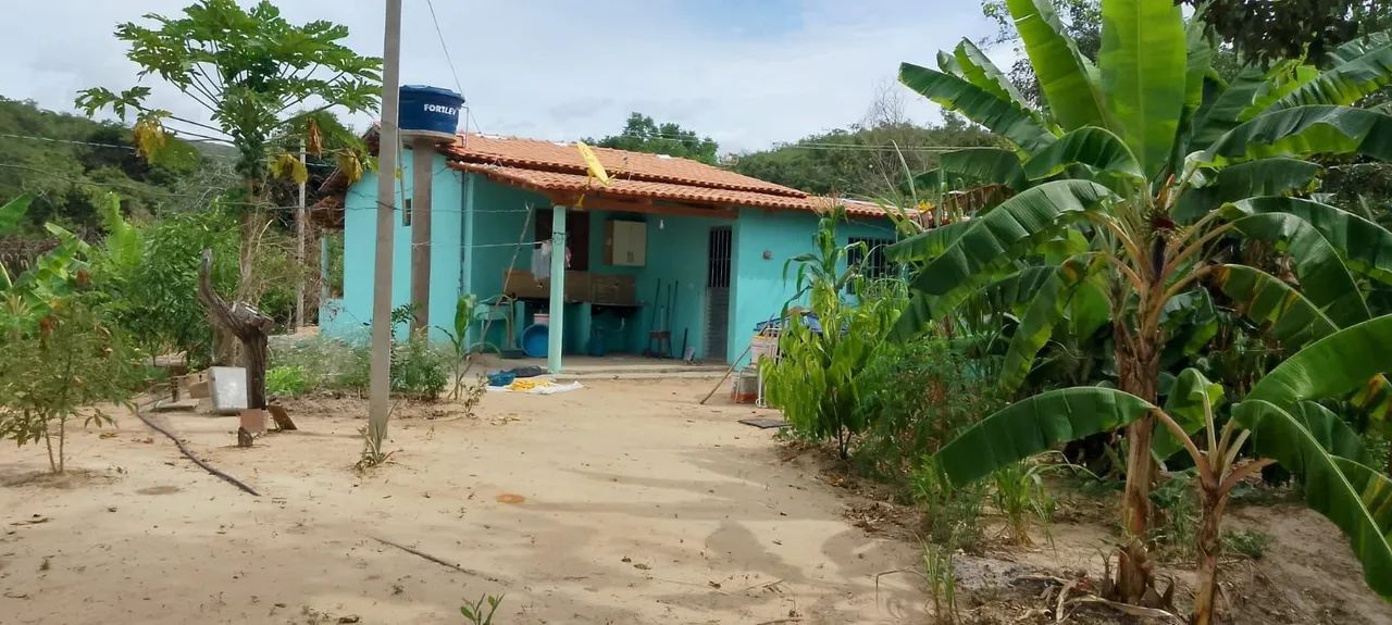 Vendo sítio em Jacaraci  - Foto 4