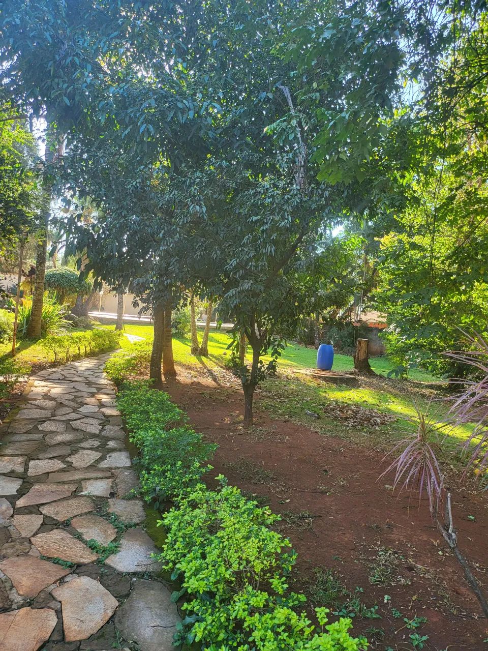 Chacara na saida da GO-070 4.375 m² - Foto 3