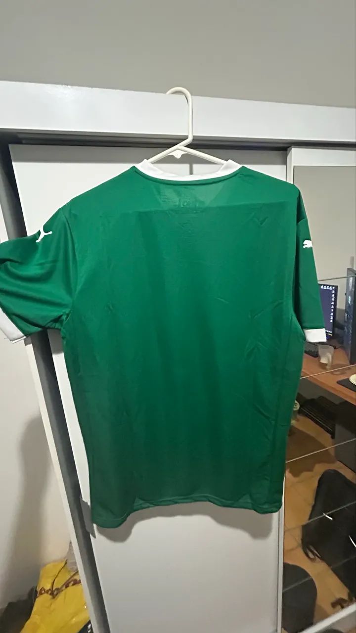 Camisa do Palmeiras