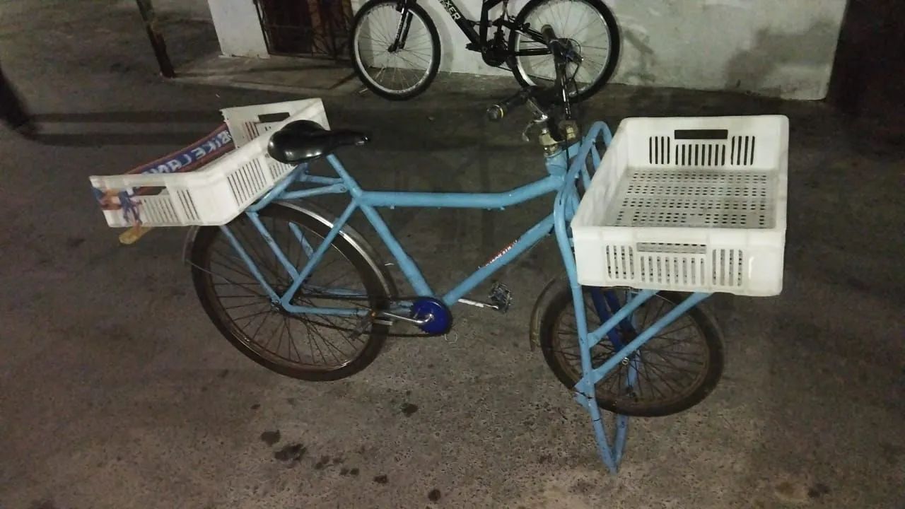 Cargueira - Foto 2