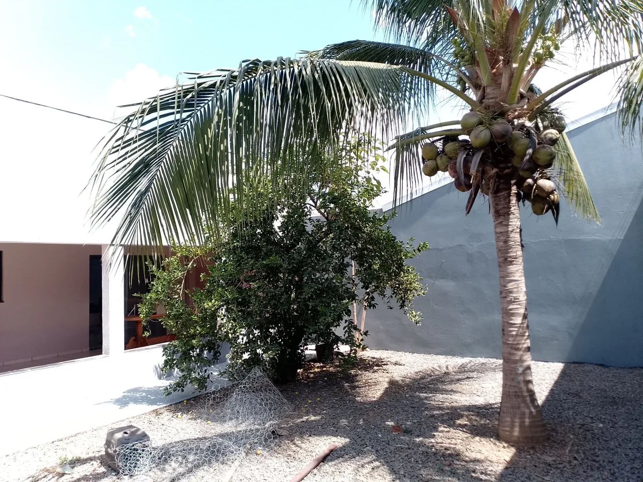 Vendo casa em presidente médici escriturada  - Foto 4